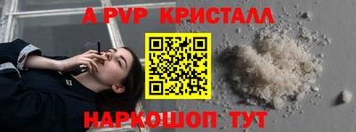 крисы Кизляр