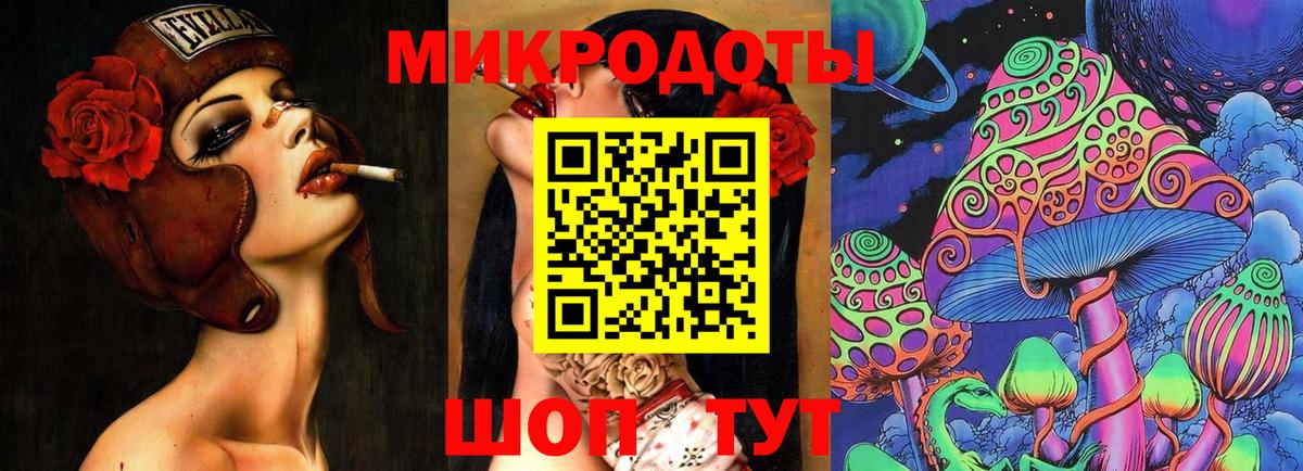 Галлюциногенные грибы Psilocybe Кострома